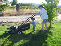 Mow Mow Mow